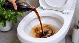Vì sao nhiều người đổ Coca-Cola vào bồn cầu?