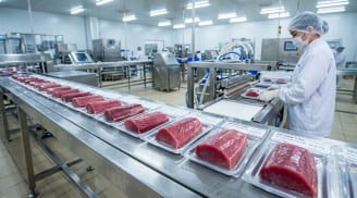 Cá ngừ Việt Nam được người Nga ưa chuộng: Xuất khẩu sang thị trường này tăng 72%, đã có mặt tại hơn 100 nước