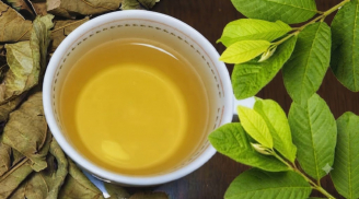 Nên uống nước lá ổi khô hay tươi?