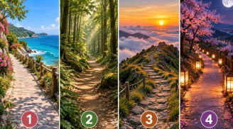 Trắc nghiệm: Chọn 1 con đường bạn muốn đi