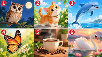 Bạn chú ý vào hình ảnh nào nhất?