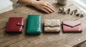 Chọn 1 chiếc ví bạn thích nhất sẽ nói lên mức độ giàu có của bạn trong tháng10