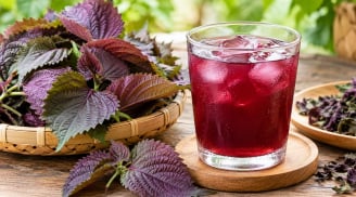 Nước tía tô không phải với ai cũng tốt: 5 trường hợp nên hạn chế