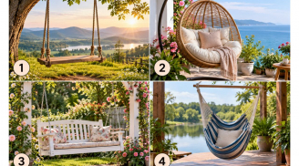 Hãy chọn 1 chiếc xích đu bạn muốn ngồi thư giãn