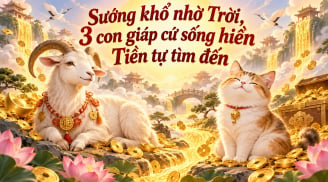 Sướng khổ nhờ Trời, 3 con giáp cứ sống hiền Tiền tự tìm đến