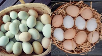 Trứng gà và trứng vịt - loại nào bổ dưỡng hơn?