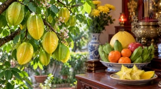 Vì sao nhiều người thích trồng cây khế phong thủy nhưng hầu như không dùng quả khế để thắp hương?