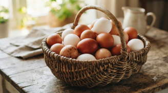 Mua trứng gà nên chọn trứng vỏ trắng hay trứng vỏ đỏ