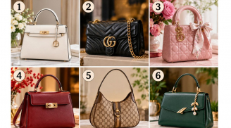 Bạn thấy chiếc túi nào sang xịn nhất?