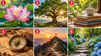 Chọn 1 hình ảnh để xem điều gì sẽ là động lực thúc đẩy bạn tới thành công