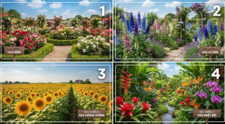 Chọn 1 khu vườn bạn thích nhất sẽ nói tháng 10 bạn gặp phải điều gì?