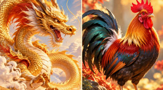 Từ 26/9 đến 16/10: 2 con giáp cẩn thận Sơ Suất nhỏ gây Thiệt Hại Lớn, 1 tuổi dễ Mất Tiền