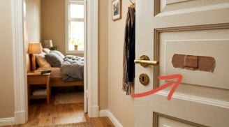 Vì sao người thông minh thích dán miếng urgo lên cửa?