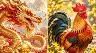 3 con giáp chú ý: Tháng 10 có Tín Hiệu này mà Nắm Bắt kịp thì tháng 11 Bật Mạnh Giàu Sang