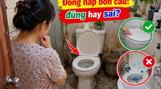 Đóng nắp bồn cầu ngay sau khi đi vệ sinh, đúng hay sai?