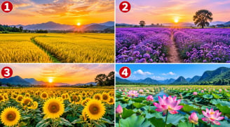 Chọn 1 cánh đồng khiến bạn thấy thích thú