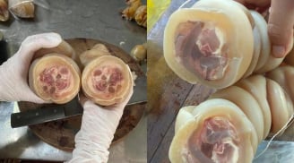 Vó bò là bộ phận nào của con bó?