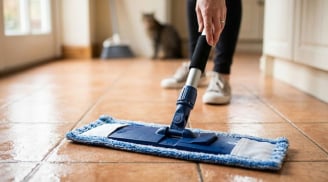 Cách xử lý mùi tanh sau khi lau nhà