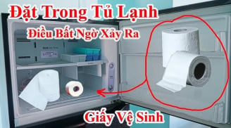 Vì sao nên đặt cuộn giấy vệ sinh vào ngăn mát tủ lạnh