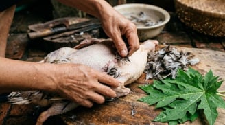 Cách làm sạch lông măng vịt cực nhanh, khử luôn cả mùi hôi