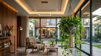Cách trồng cây trầu bà lá xanh tốt quanh năm, dài tới hàng mét