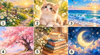 Chọn 1 hình vẽ để xem phẩm chất nổi bật trong bạn khiến người khác yêu mến là gì