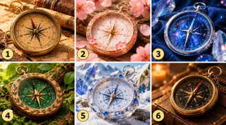 Bạn sẽ chọn chiếc la bàn nào?
