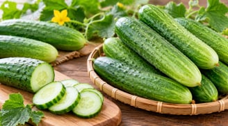 Dưa chuột bị đắng có độc không? 4 điều cần biết trước khi ăn