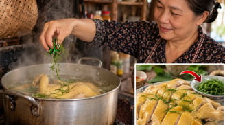 Vò nắm lá này thả vào nòi, gà căng mọng nước, không sợ đỏ xương