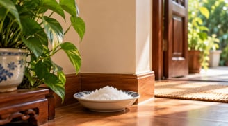 Vì sao nhiều người thích để đĩa muối ở góc nhà?