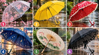 Chọn 1 chiếc ô bạn muốn cầm khi trời mưa
