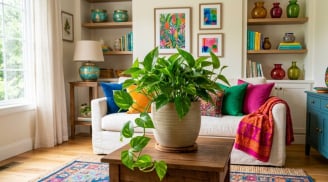 3 vị trí tốt nhất đặt cây Trầu Bà thu hút tài lộc