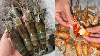 Phần đen trên đầu tôm là gạch hay chất thải: Cách đơn giản để phân biệt