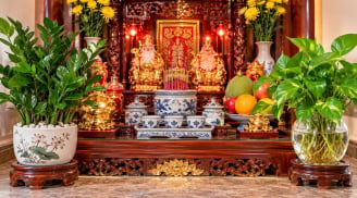 Trồng cây cảnh ở ban thờ Thần Tài: Trồng thủy sinh hay trong chậu đất mới hợp phong thủy?