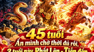 45 tuổi Ẩn mình chờ thời đủ rồi, 3 tuổi này Phất Lên - Tiền đến