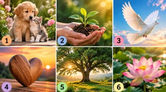 Chọn 1 hình ảnh để xem bạn có lòng trắc ẩn đến đâu