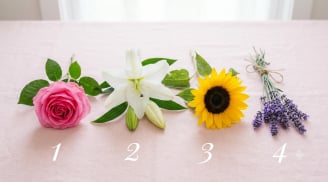 Chọn một trong 4 bông hoa bạn thích nhất: Khám phá điều bạn đang cần nhất trong cuộc sống