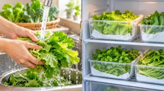 Có nên rửa rau trước khi cất tủ lạnh?
