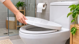 Khi nào nên đóng nắp bồn cầu? Nhiều người làm ngược mà không biết