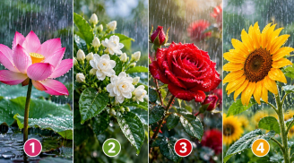 Bạn ấn tượng với hình ảnh bông hoa nào?