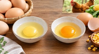 Trứng gà lòng đỏ màu nhạt thì ngon bổ hơn màu đậm, có đúng không?