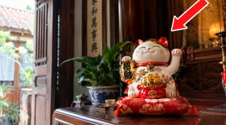 4 vị trí đặt mèo thần tài gọi Tiền về không ngớt