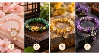  Chiếc vòng tay nào khiến bạn thích thú?