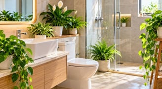 Vì sao nhiều người thích trồng cây trong nhà vệ sinh, nhà tắm?