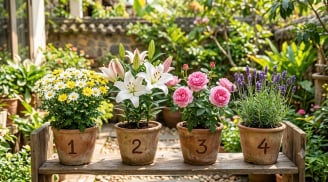 Trắc nghiệm: Chọn 1 bình hoa bạn thích nhất