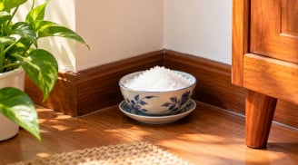 Vì sao nhiều người đặt bát muối ở góc phòng?