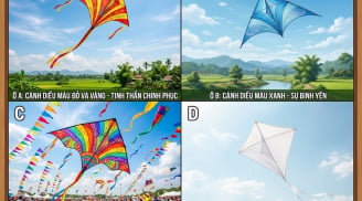Hãy chọn 1 cánh diều mà bạn thích nhất?