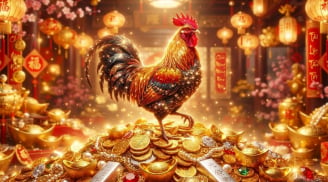 Từ 19/10-31/10: 3 tuổi Công Việc Hanh Thông, Tiền Vào Như Nước