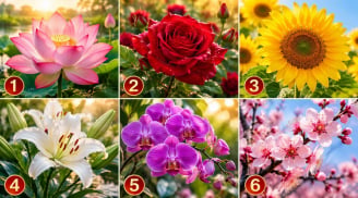 Chọn 1 bông hoa để xem mệnh của bạn giàu có cỡ nào