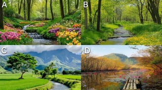 Hãy chọn 1 dòng suối bạn thích nhất?